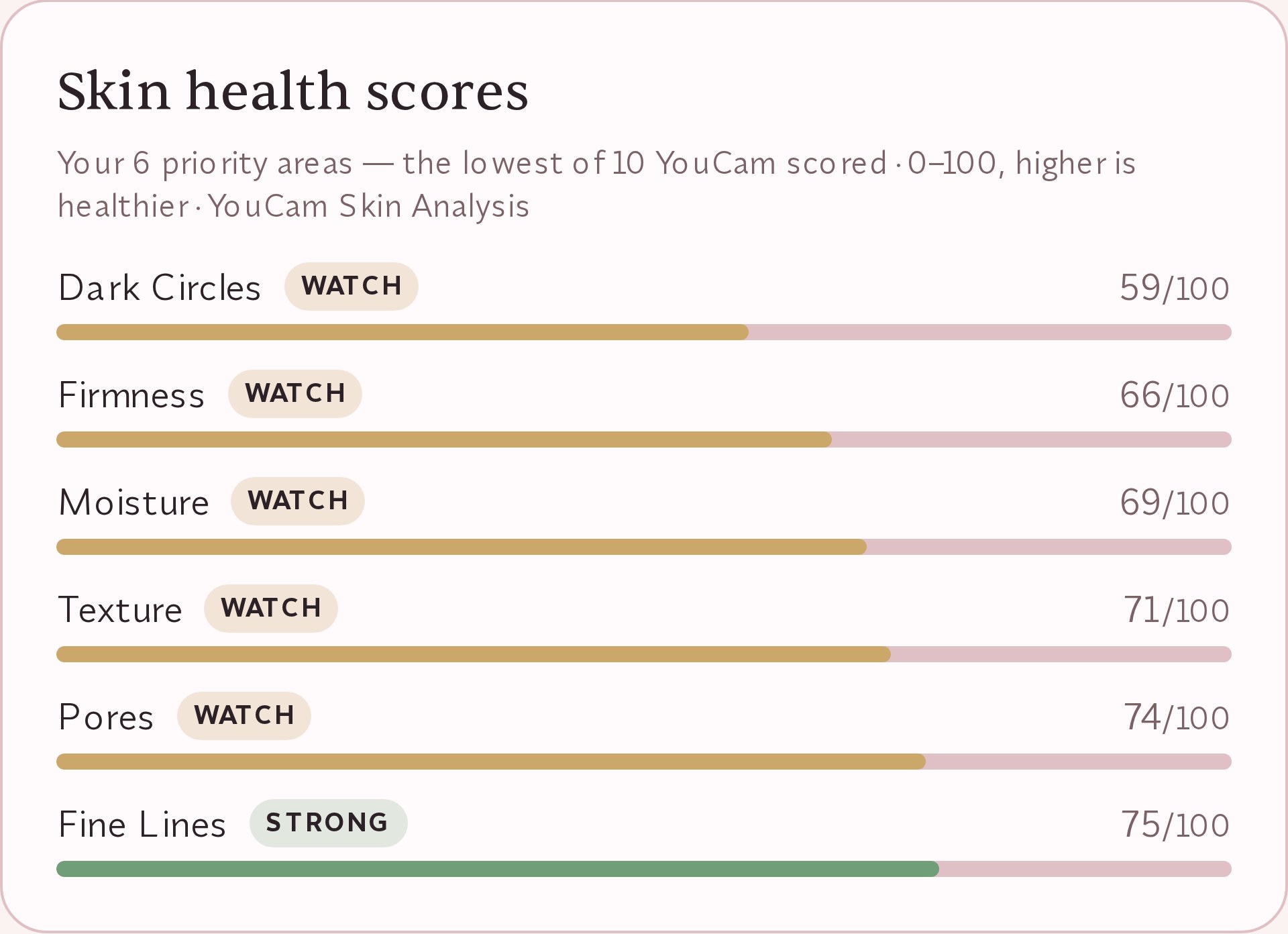 Skin health scores panel showing ten YouCam Skin Analysis concerns scored 0 to 100, each with a text status label