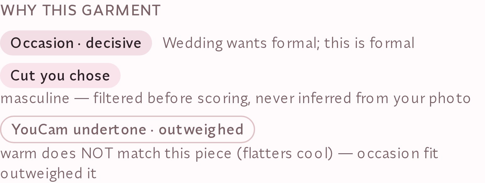 The 'Why this garment' panel listing three ranked factors: occasion decisive, the cut you chose, and the YouCam undertone marked as outweighed